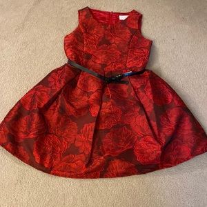 Barely worn holiday dress